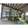 Swadro 1400 doacao de rake